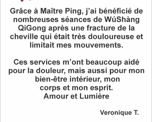 Guérison et Bien-être avec le WúShàng QiGong : Mon expérience avec Maître Ping
