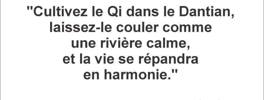 "La Danse du Qi" - Maître Zhi Gang Sha