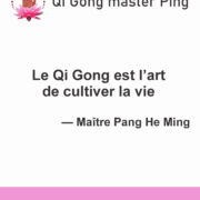 énergie vitale énergie vitale