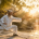 Qi Gong y envejecimiento saludable